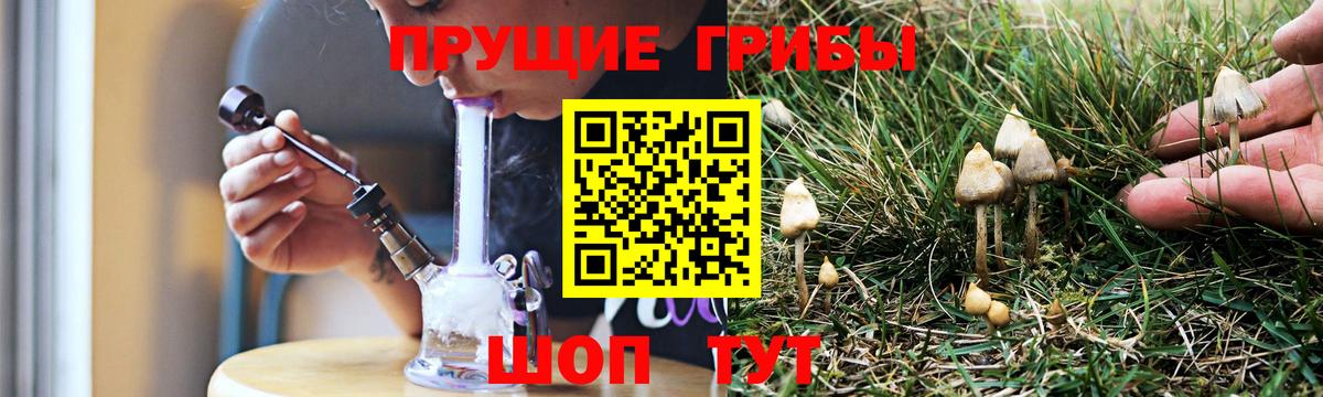 Спасск-Дальний  Псилоцибиновые грибы MAGIC MUSHROOMS  Вход с VPN 